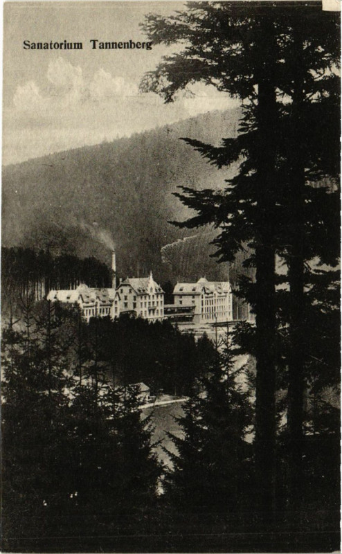 Carte postale ancienne Sanatorium Tannenberg à Berg