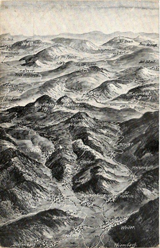 Carte postale ancienne Das Schlachfeld in den Vogesen - Grenzgeblet b. Saales à Saales