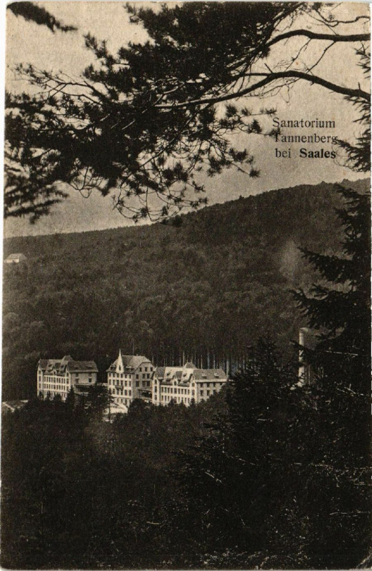 Carte postale ancienne Sanatorium Tannenberg b. Saales à Saales