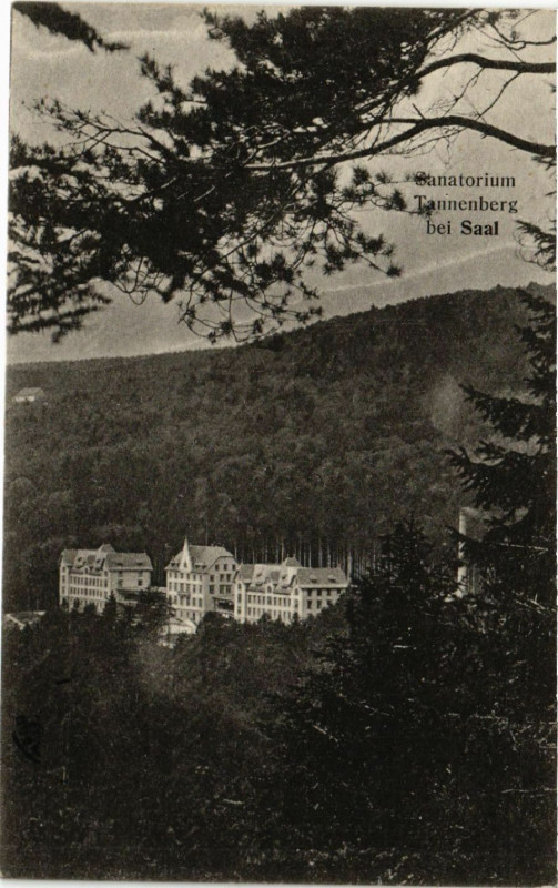 Carte postale ancienne Sanatorium Tannenberg b. Saal à Berg