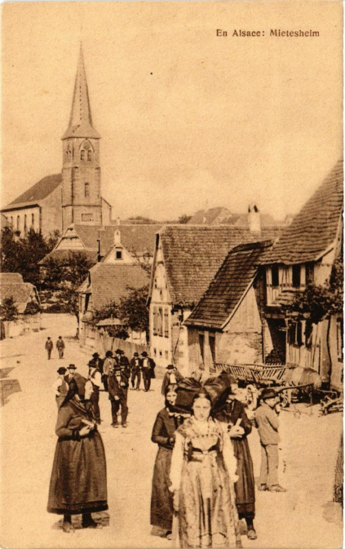 Carte postale ancienne En Alsace Mietesheim à Mietesheim