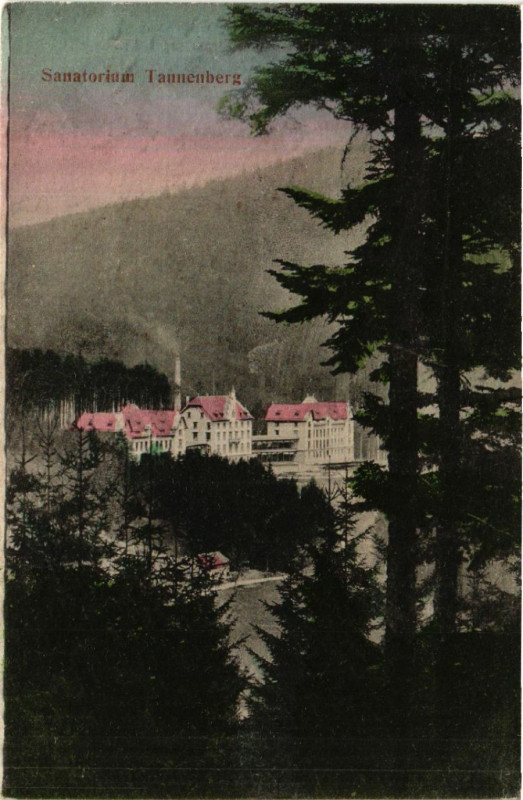 Carte postale ancienne Sanatorium Tannenberg à Berg