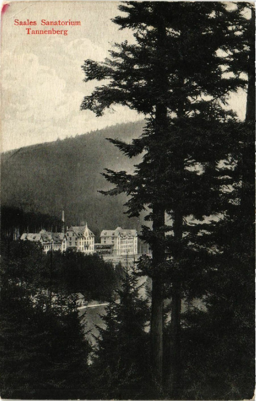 Carte postale ancienne Saales Sanatorium - Tannenberg à Saales