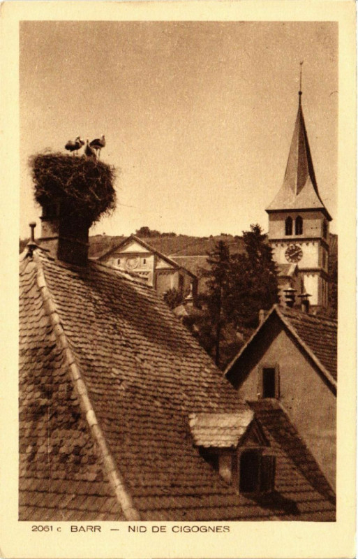 Carte postale ancienne Barr - Nid de Cigognes à Barr