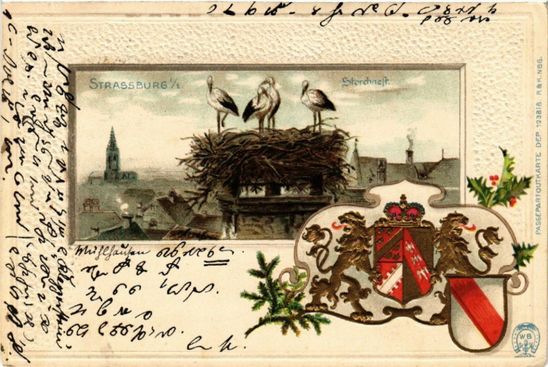 Carte postale ancienne Strasbourg - Strassburg - Storchennest - Storchnest - Scene à Strasbourg
