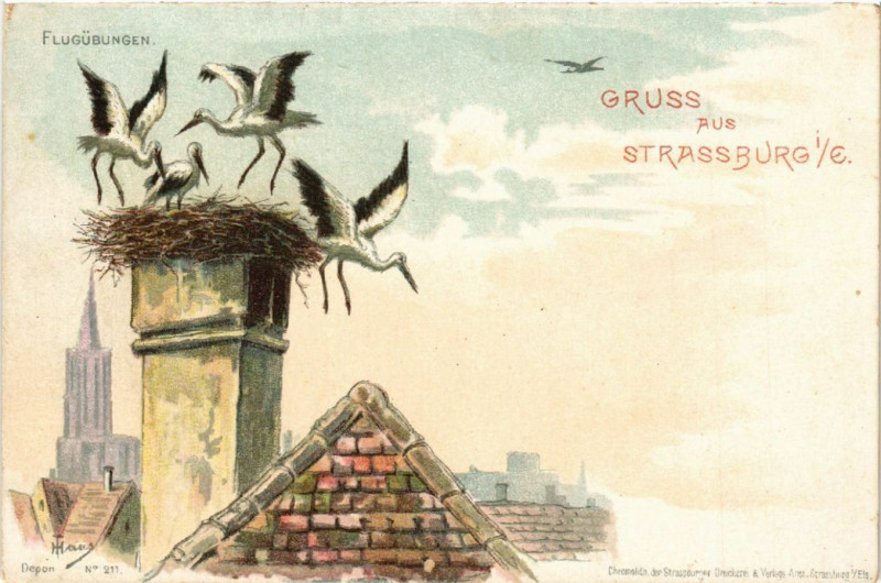 Carte postale ancienne Strasbourg - Strassburg - Storchennest - Scene à Strasbourg
