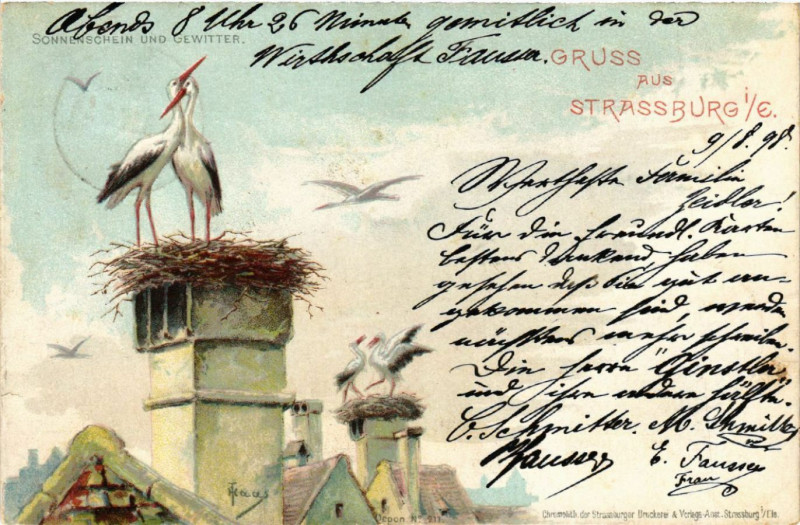 Carte postale ancienne Strasbourg - Strassburg - Storchennest - Scene à Strasbourg