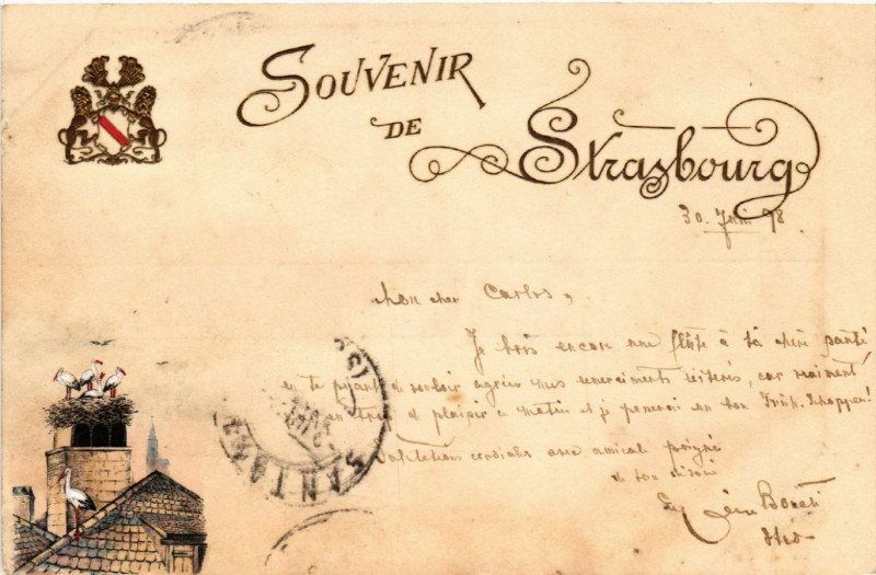 Carte postale ancienne Strasbourg - Strassburg - Souvenir de Strasbourg - Storchennest à Strasbourg