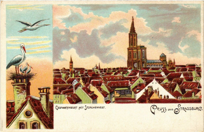 Carte postale ancienne Strasbourg - Strassburg - Gesammtansicht mit Storchennest à Strasbourg