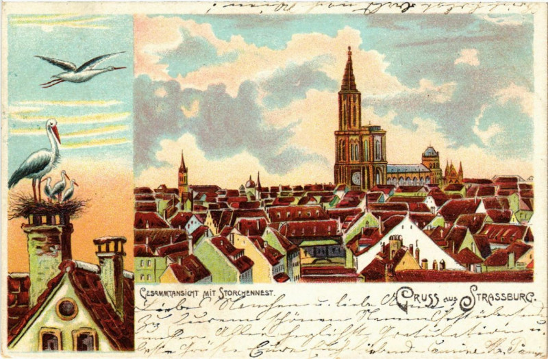 Carte postale ancienne Strasbourg - Strassburg - Gesammtansicht mit Storchennest à Strasbourg