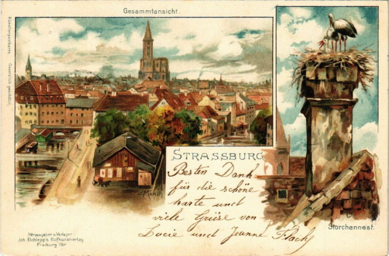 Carte postale ancienne Strasbourg - Strassburg - Gesammtansicht - Storchennest à Strasbourg