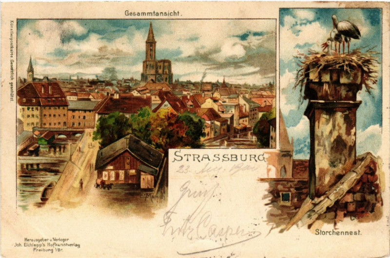 Carte postale ancienne Strasbourg - Strassburg - Gesammtansicht - Storchennest à Strasbourg