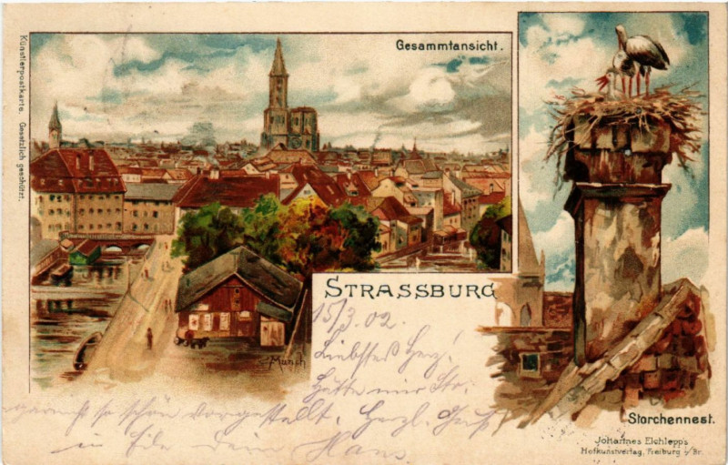 Carte postale ancienne Strasbourg - Strassburg - Gesammtansicht - Storchennest à Strasbourg