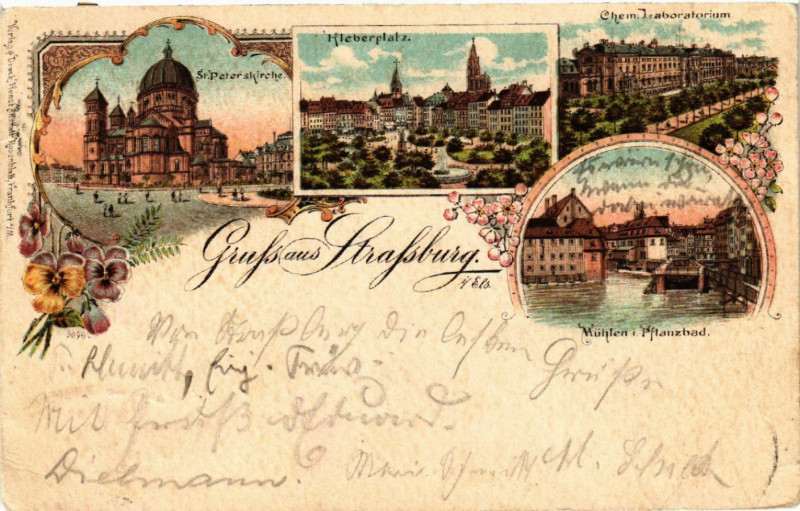 Carte postale ancienne Strasbourg Strassburg Chem. Laboratorium Muhlen i. Pflanzbad à Strasbourg