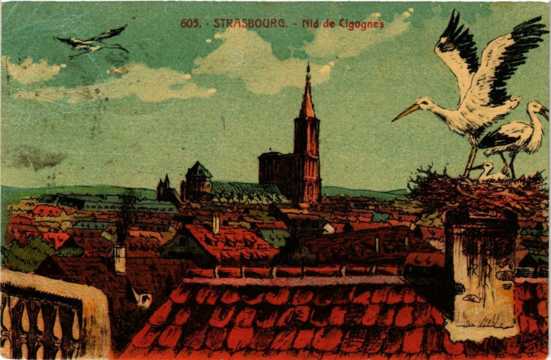 Carte postale ancienne Strasbourg - Nid de Cigognes à Strasbourg