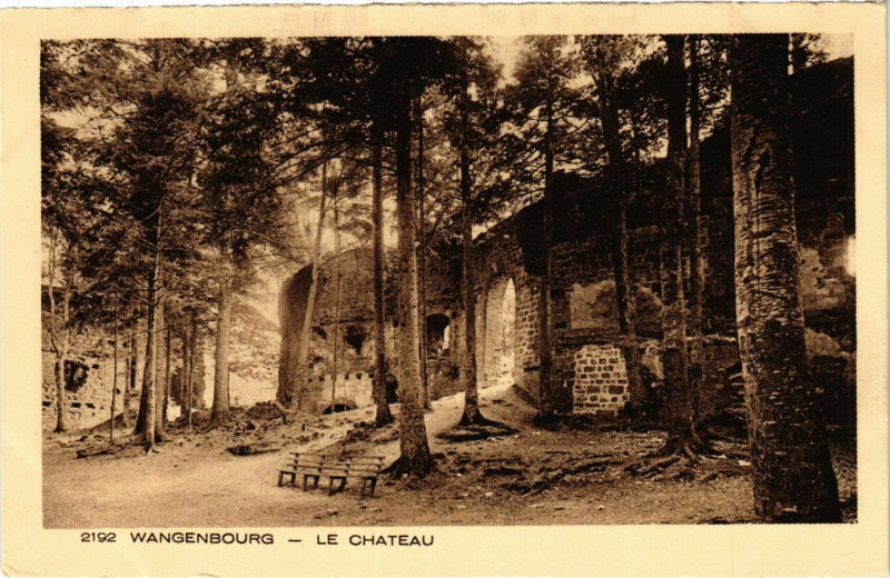 Carte postale ancienne Wangenbourg - Le Chateau à Wangen