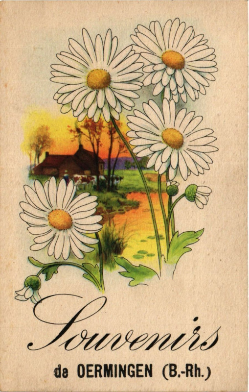 Carte postale ancienne Souvenirs de Oermingen à Oermingen