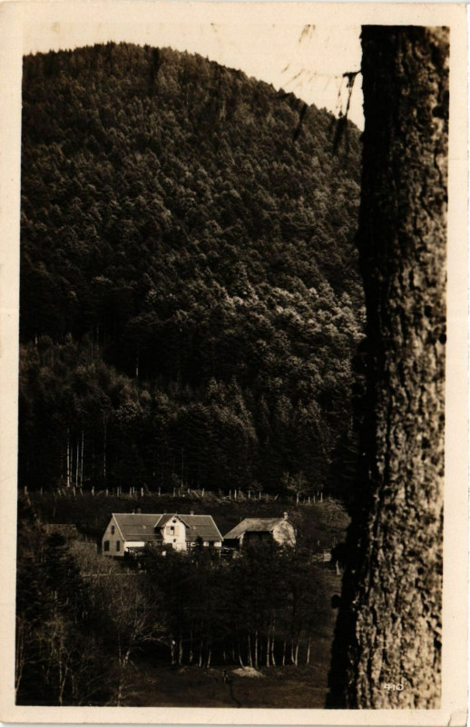 Carte postale ancienne Maison Forestiere - Nideck