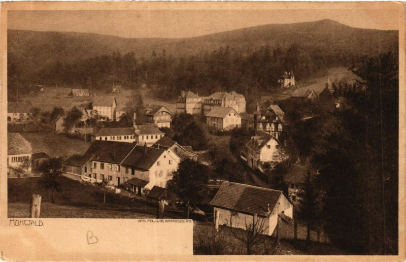 Carte postale ancienne Monwald