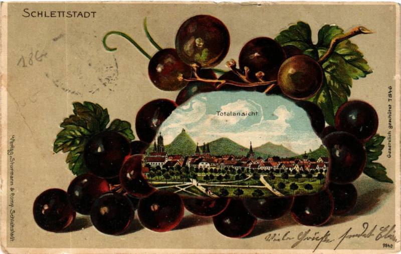 Carte postale ancienne Schlettstadt - Totalansicht