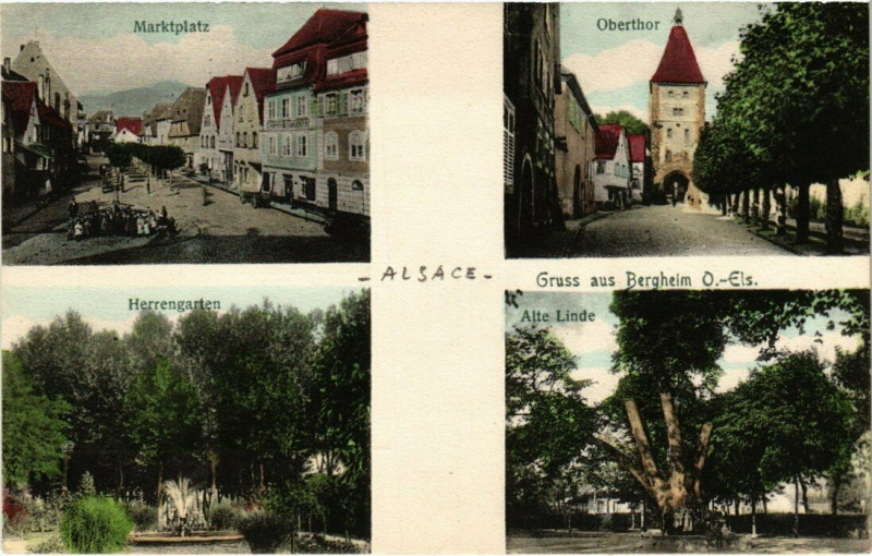 Carte postale ancienne Alsace - Souvenir