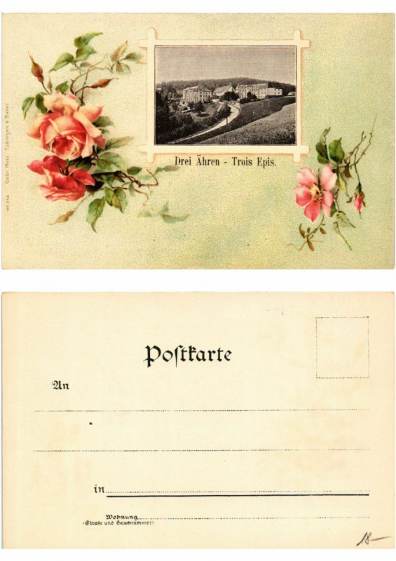 Carte postale ancienne Litho Drei-Ahren Trois-Epis . Alsace