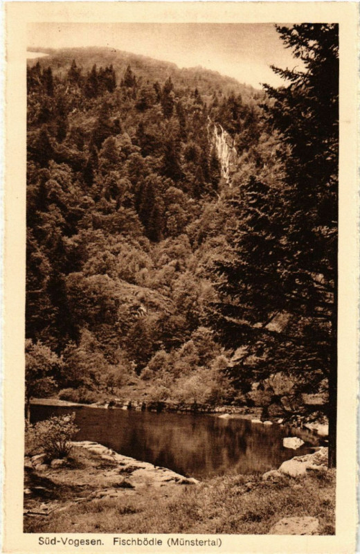 Carte postale ancienne Sud Vogesen - Fischbodle