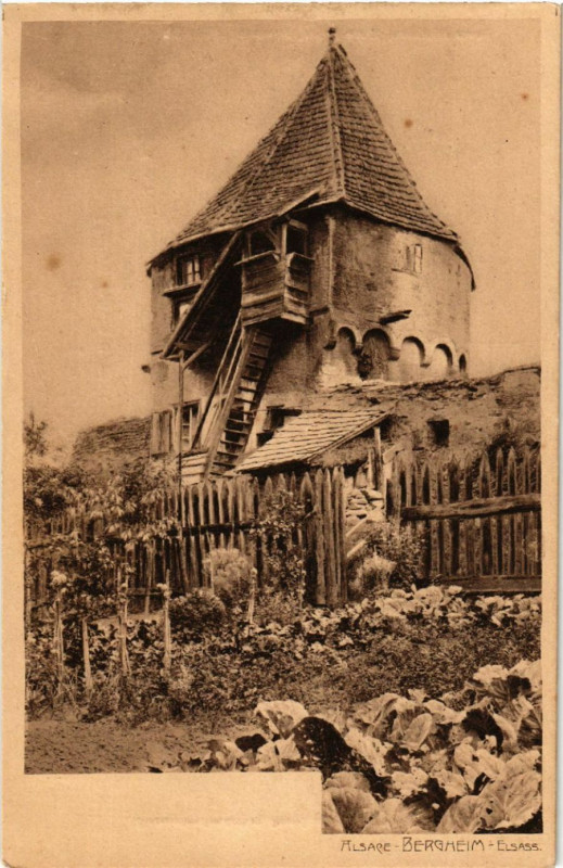 Carte postale ancienne Alsacée - Bergheim à Bergheim