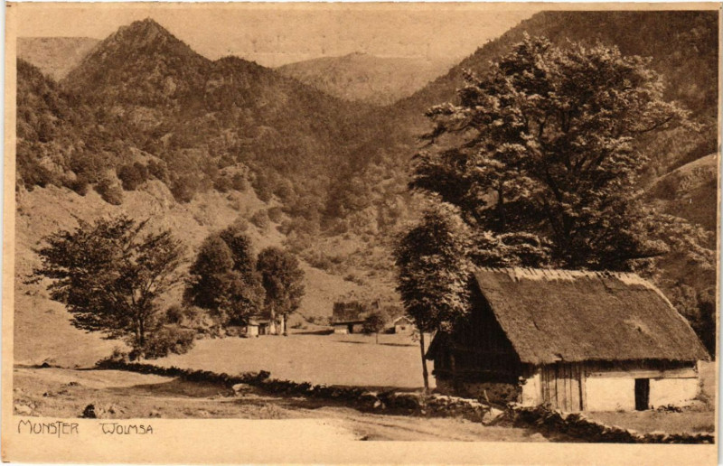 Carte postale ancienne Munster - Wolmsa à Munster