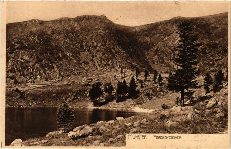 Carte postale ancienne Münster - Forellenweiher à Munster