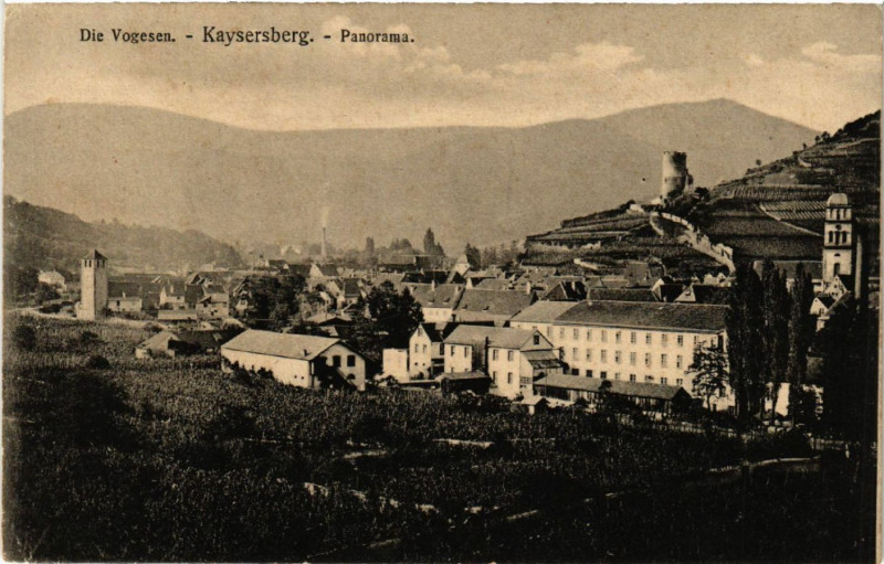 Carte postale ancienne Kaysersberg - Panorama