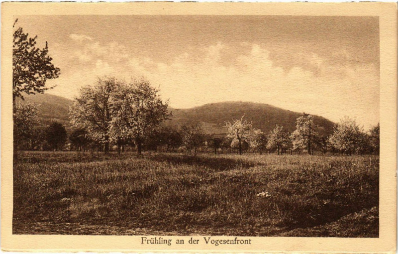 Carte postale ancienne Fruhling an der vogesenfront