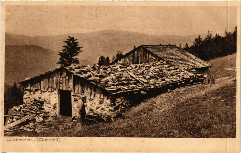 Carte postale ancienne Widenbach