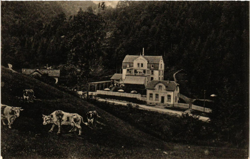 Carte postale ancienne Vogesenhotel Baumschule