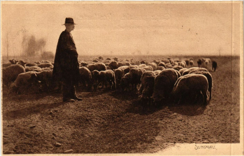 Carte postale ancienne Sundgau