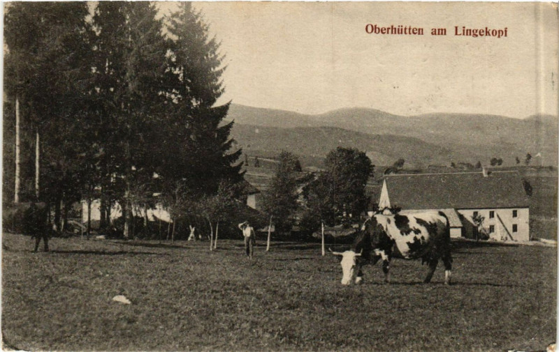 Carte postale ancienne Oberhutten am Lingekopf