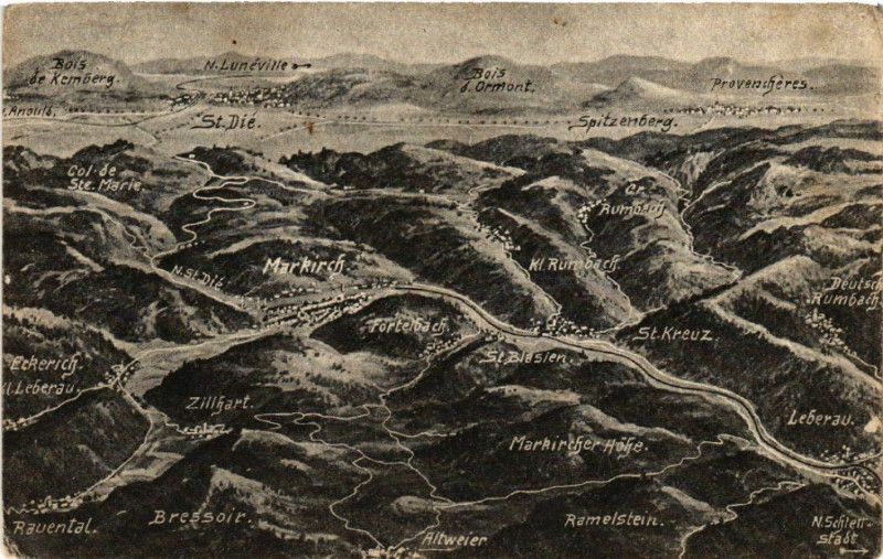 Carte postale ancienne Das Schlachtfeld in den Vogesen