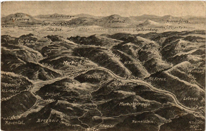 Carte postale ancienne Das Schlachtfeld in den Vogesen