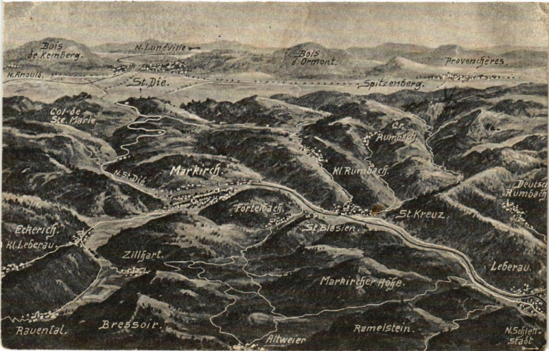 Carte postale ancienne Das Schlachtfeld in den Vogesen