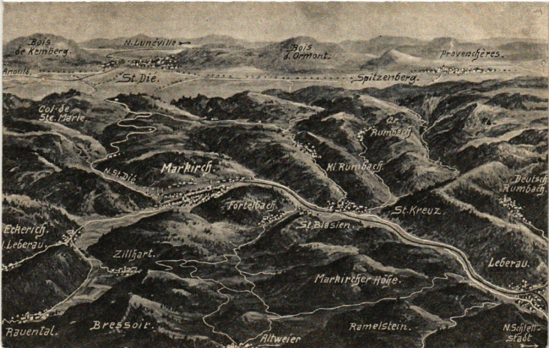 Carte postale ancienne Das Schlachtfeld in den Vogesen