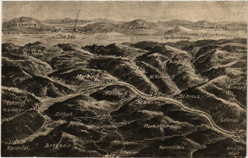 Carte postale ancienne Das Schlachtfeld in den Vogesen