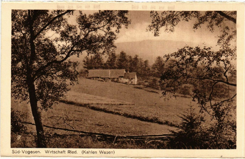 Carte postale ancienne Sud-Vogesen - Wirtschaft Ried