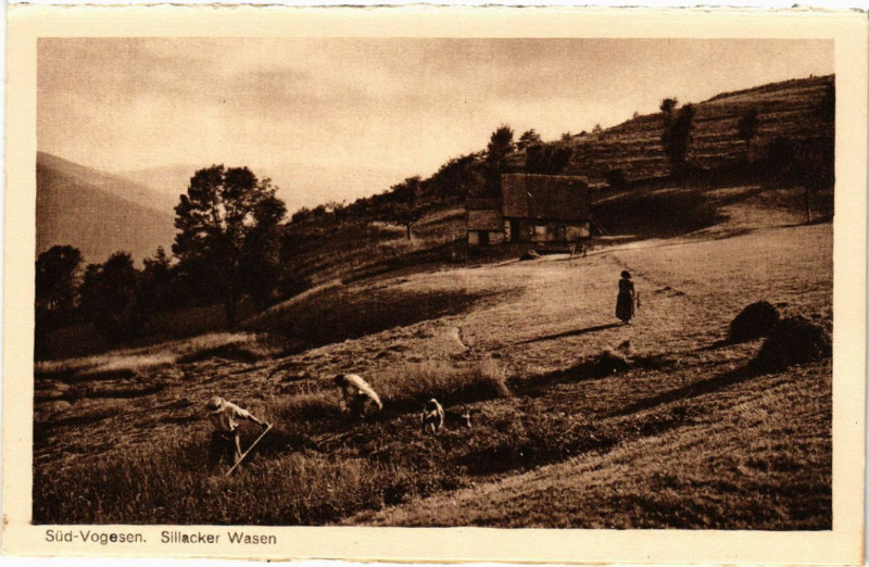 Carte postale ancienne Sud-Vogesen - Sillacker Wasen