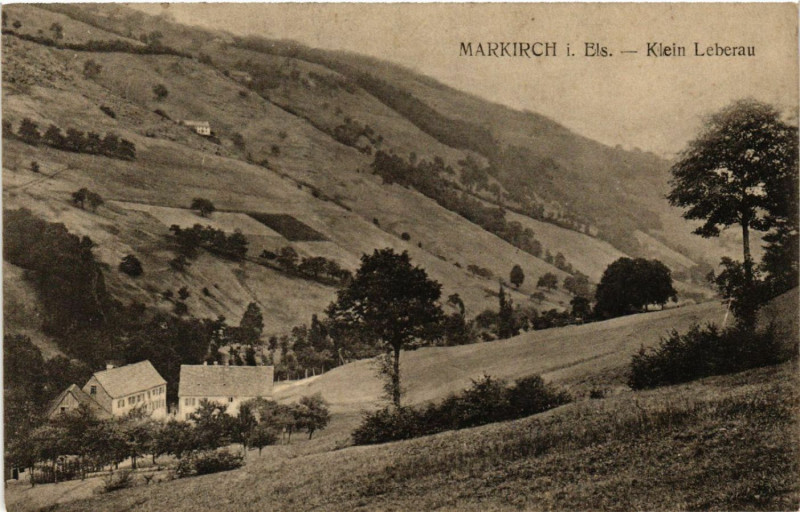 Carte postale ancienne Markirch - Klein Leberau