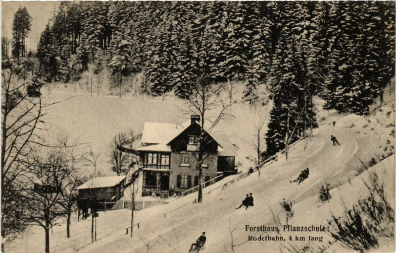Carte postale ancienne Forsthaus - Pflanzschule