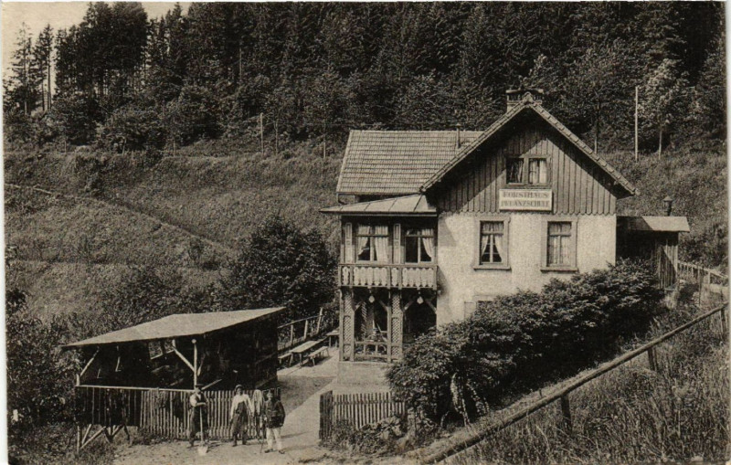 Carte postale ancienne Forsthaus - Pflanzenschule
