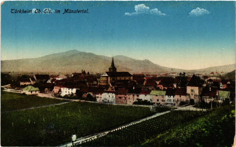 Carte postale ancienne Türkheim O. Els. im Münstertal