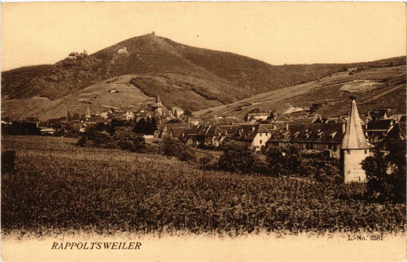 Carte postale ancienne Ribeauville - Rappoltsweiler - Panorama à Ribeauvillé