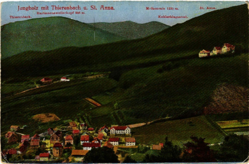 Carte postale ancienne Jungholz mit Thierenbach Saint-Anna