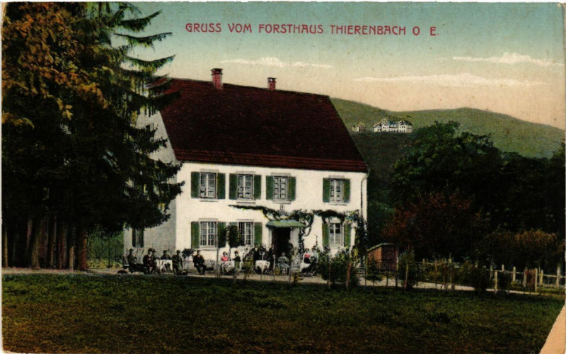 Carte postale ancienne Gruss vom Forsthaus Thierenbach